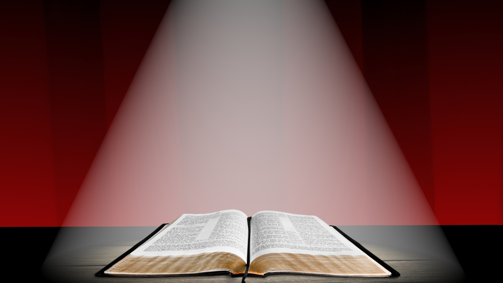 spotlight on bible